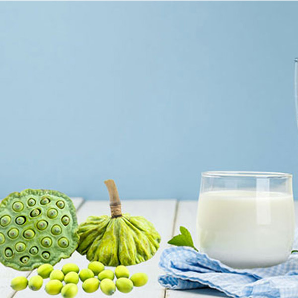 Sữa làm từ hạt sen
